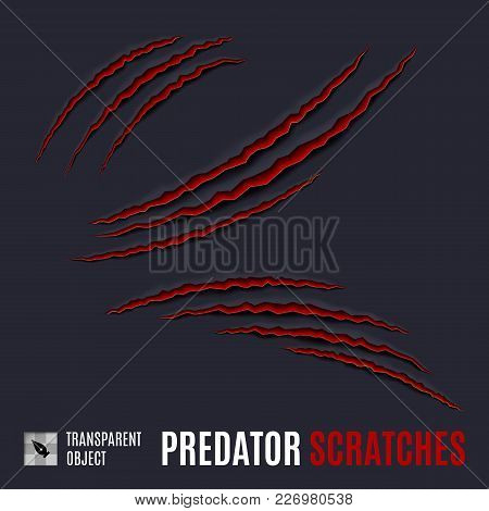 Animal Red Scratches On Dark Background. Claw Scratch Mark. Paper Claws Animal Scratching. Animal Pr