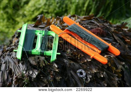 Crabbing und Algen am Meer Spaß