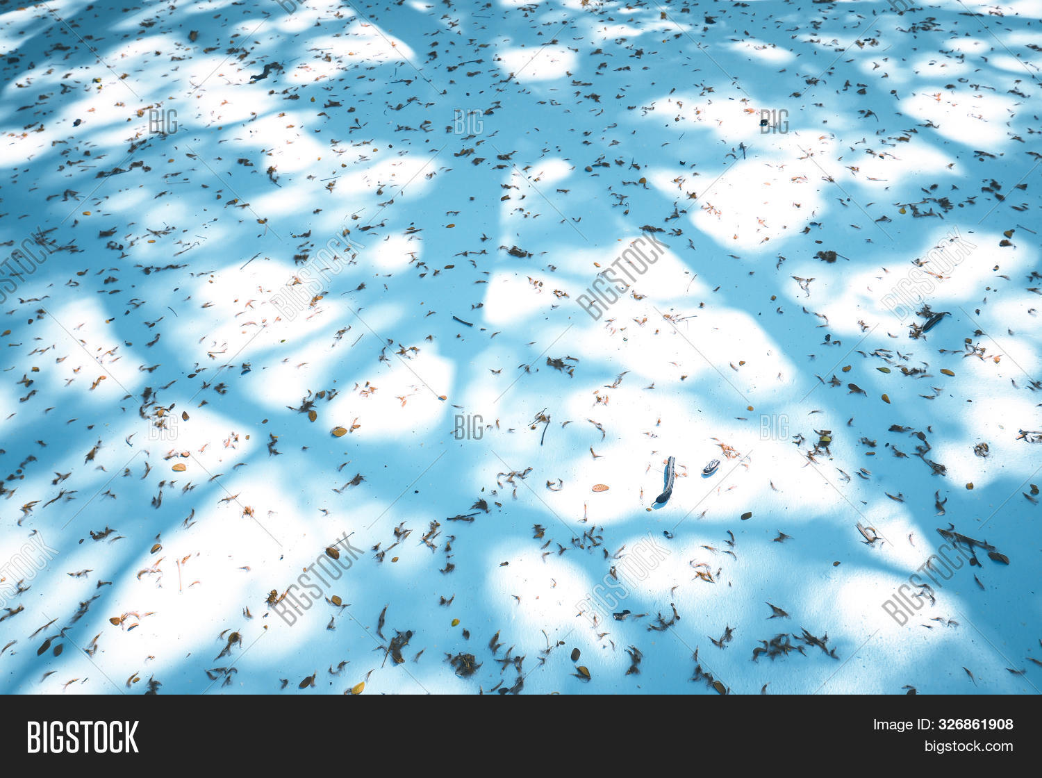 Tree Shadow Cast Tree Shadow Cast On Image & Photo (Free Trial) | Bigstock