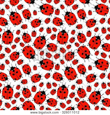 Seamless Pattern From Lady Bugs. Doodle Sketch. Colorful Outline On White Background. Picture Can Be