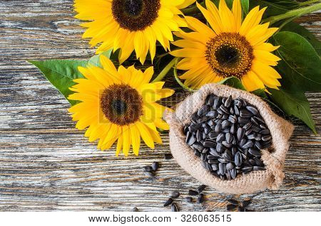 Raw Sunflower Seeds In Burlap Bag On A Wooden Table Against The Background And Yellow Sunflower. Fri