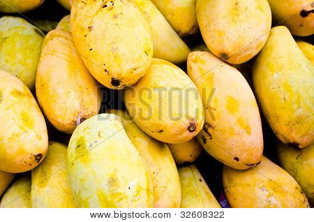 Mango