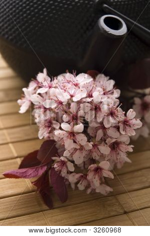 차 주전자