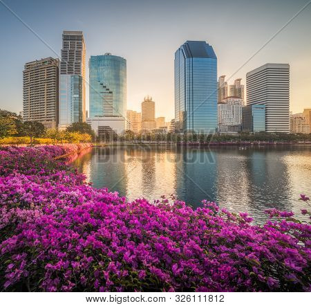 Lake With Purple Flowers In City Park Under Skyscrapers At Sunrise. Benjakiti Park In Bangkok, Thail