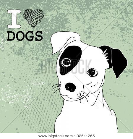 Roztomilý Jack Russell teriér. Brilantní karta pro doglovers!