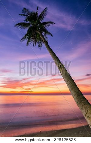 Palm trees and sunset sky background. Tropical holiday concept, copy space