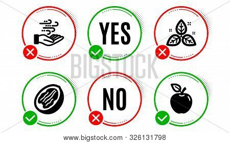 Pecan Nut, Wind Energy And Fair Trade Icons Simple Set. Yes No Check Box. Apple Sign. Vegetarian Foo