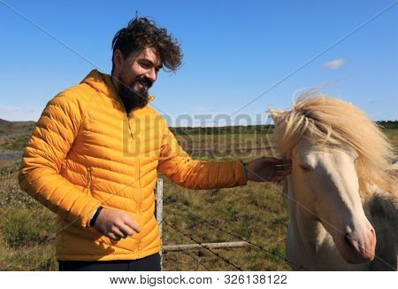 Traditional Horses in Iceland, Europe