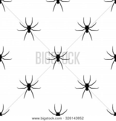 Seamless Pattern With Black Silhouette Of Spider On White Background. Halloween Decorative Texture. 