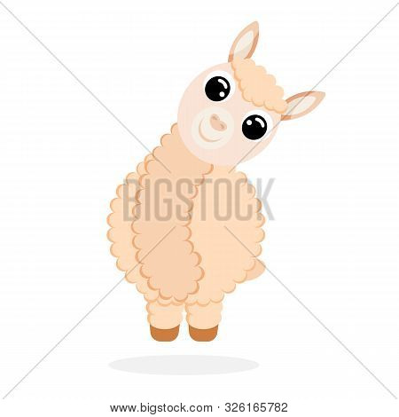 Cute Alpaca In Flat Style Vector Image
