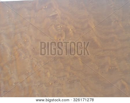 Veneer Wood Pattern Brown Wooden Material Finish Surface Furniture Burr Texture Wall Background