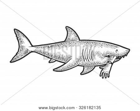 Shark With Bitten Off Hand In Mouth Sketch Engraving Vector Illustration. Tee Shirt Apparel Print De