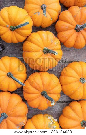 Pumpkins. Orange. Agriculture. Autumn. Vibrant Colors. Decor
