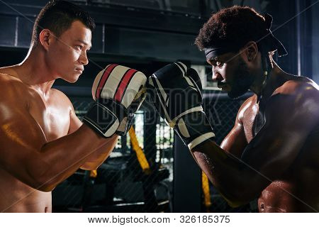 Serious Multi-ethnic Muay Thai Boxers In Gloves Looking At Each Other With Hatred Before Match