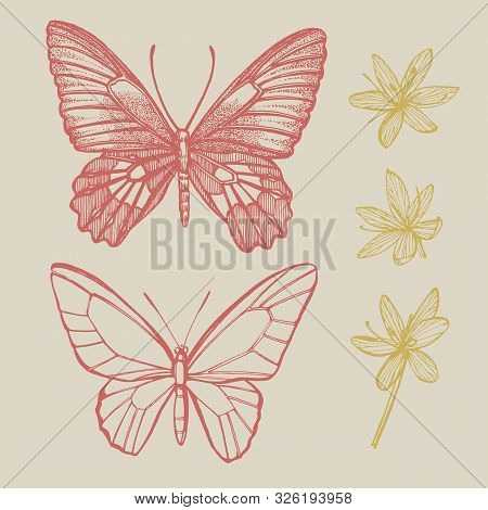 Butterflies Silhouettes. Butterfly Card Template On Romantic Ckground. Graphic Illustration. Handwri