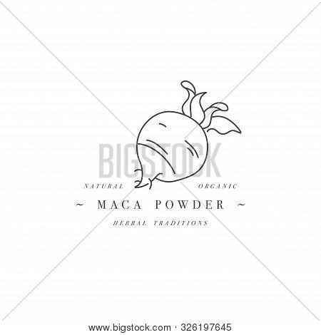 Vector Design Element And Icon In Linear Style - Maca Powder - Healthy Eco Food. Organic Ingredient.