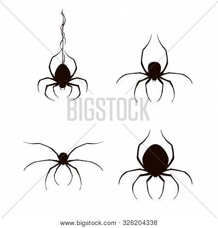 Set Of Black Spiders For Halloween