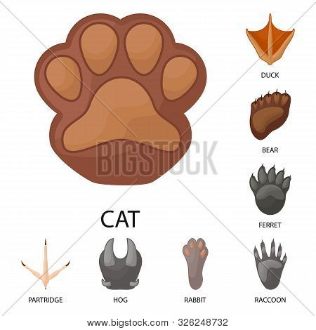 Vector Illustration Of Animal And Print Symbol. Set Of Animal And Footprint Stock Vector Illustratio