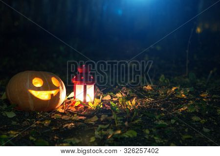 Pumpkin Lights With Candles On The Ground In A Park In The Light Of The Moon. Jack Olantern