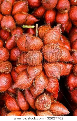 Zalacca Edulis
