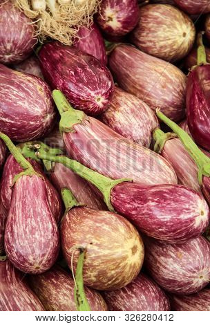 A Lot Of Fresh Eggplant Available In The Market