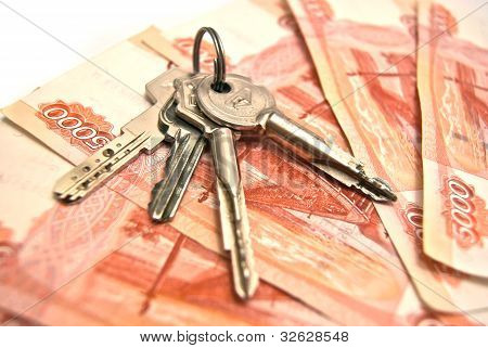 키와 지폐 배경