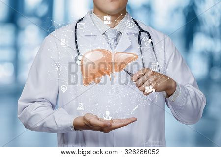 The Concept Of Treatment Of The Liver. The Doctor And Liver Of The Blurred Background.