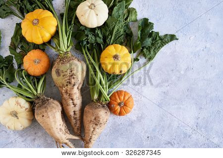 Autumn Harvest Of Vegetables. Pumpkins, Radish Copy Space