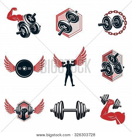 Vector Power Lifting Theme Illustrations Collection Made Using Dumbbells And Disc Weights Sport Equi