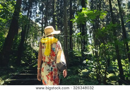 traveling Asian woman hiking in the forest at Xitou, Nantou, Taiwan