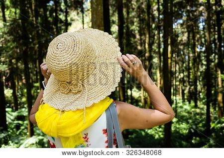 traveling Asian woman hiking in the forest at Xitou, Nantou, Taiwan
