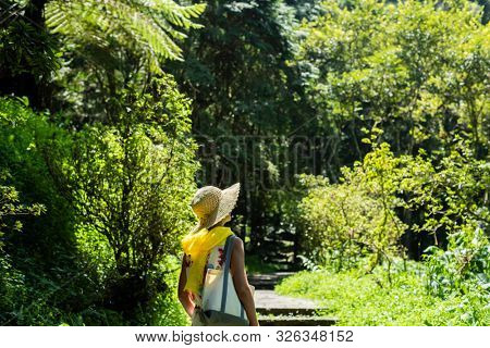 traveling Asian woman hiking in the forest at Xitou, Nantou, Taiwan
