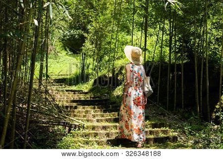 traveling Asian woman hiking in the forest at Xitou, Nantou, Taiwan
