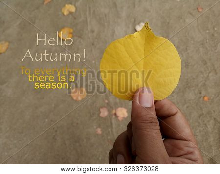 Hello Autumn Inspirational Words - To Everything There Is A Season. With Autumn Leaves On White Sand