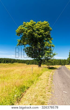 Beuatiful Scenery Of Krusne Hory Mountains In Czech Republic Near Prebuz Settlement With Meadow, Iso