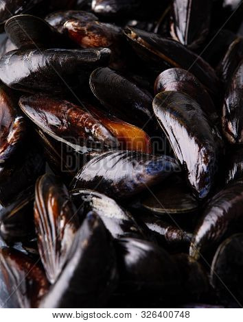 Fresh Uncooked Raw Big Mussels On Dark Background
