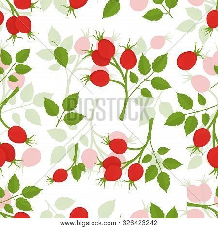 Seamless Background With Rosehip Branches Red Rosehip Berries And Green Leaves Isolated On White Bac