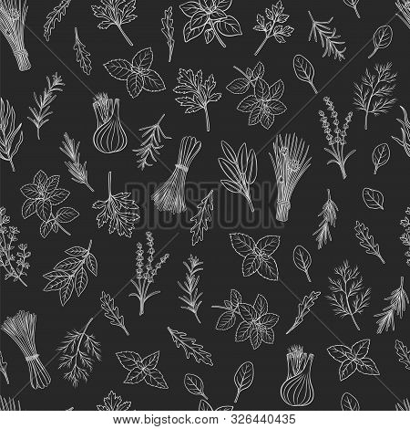 Culinary Herbs And Spice Seamless Pattern. Seasoning, Vector Illustration. Bay Leaf, Lemongrass, Fen
