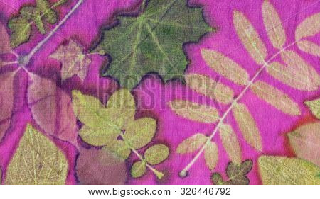 Botanical Print With Leaf Prints On Natural Silk. Hand-drawn Illustration.