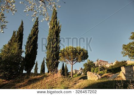 View Of  The Old Town Of Barjac, Southern France. Green Trees, Buildings And Stone Church With A Bel
