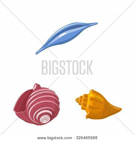 Vector Design Of Seashell And Mollusk Icon. Collection Of Seashell And Seafood Stock Vector Illustra