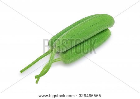 Gourd,  Luffa, Sponge Gourd Or Vegetable Sponge Isolated On White Background With Clipping Path. Sel