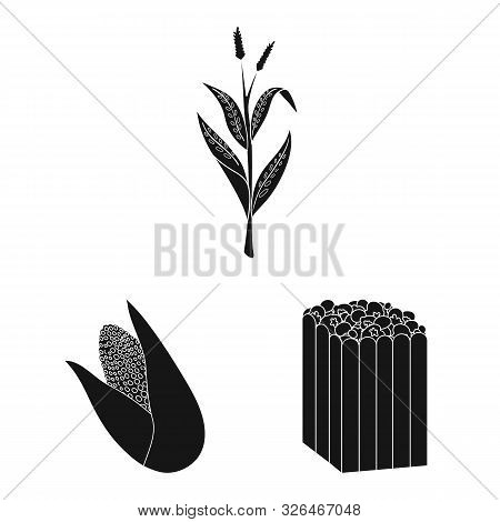 Isolated Object Of Organic And Vegetarian Symbol. Collection Of Organic And Food Stock Vector Illust