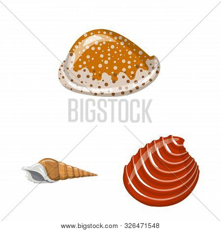 Isolated Object Of Seashell And Mollusk Icon. Set Of Seashell And Seafood Stock Vector Illustration.