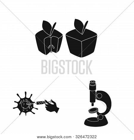 Vector Illustration Of Quality And Laboratory Icon. Set Of Quality And Genetically Vector Icon For S
