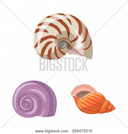 Vector Illustration Of Seashell And Mollusk Symbol. Set Of Seashell And Seafood Stock Vector Illustr