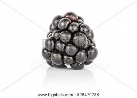 One Whole Fresh Black Blackberry Isolated On White Background