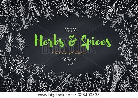 Culinary Herbs And Spice Template, Chalkboard Style. Vector Illustration Seasoning Food Page Design 