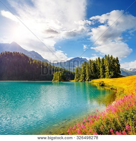 Majestic view of the azure pond Champfer. Location place of resort Silvaplana village, Swiss alps, Maloja pass, Switzerland, Europe. Popular tourist attraction. Discover the beauty of earth.