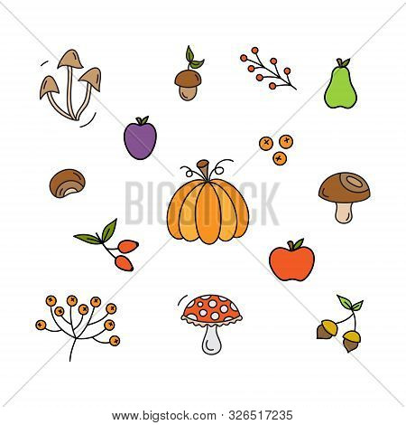 Autumn Plants, Nuts, Fruit And Mushroom Vector Illustration Set. Fall Colorful Hand Drawn Outlined N
